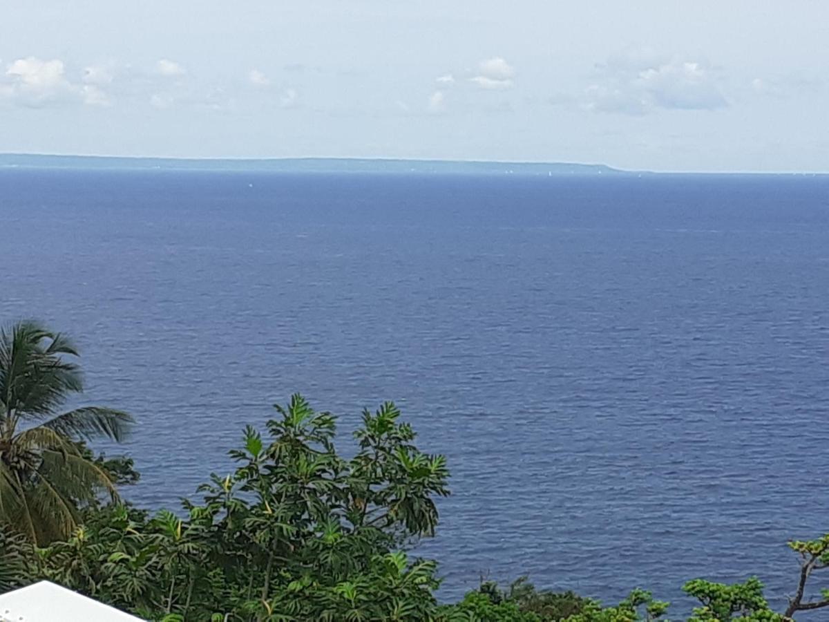 Awmony'Kaz, Gite A Trois-Rivieres Guadeloupe ภายนอก รูปภาพ