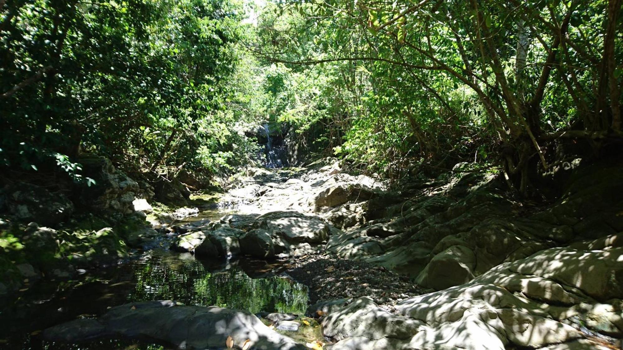 Awmony'Kaz, Gite A Trois-Rivieres Guadeloupe ภายนอก รูปภาพ