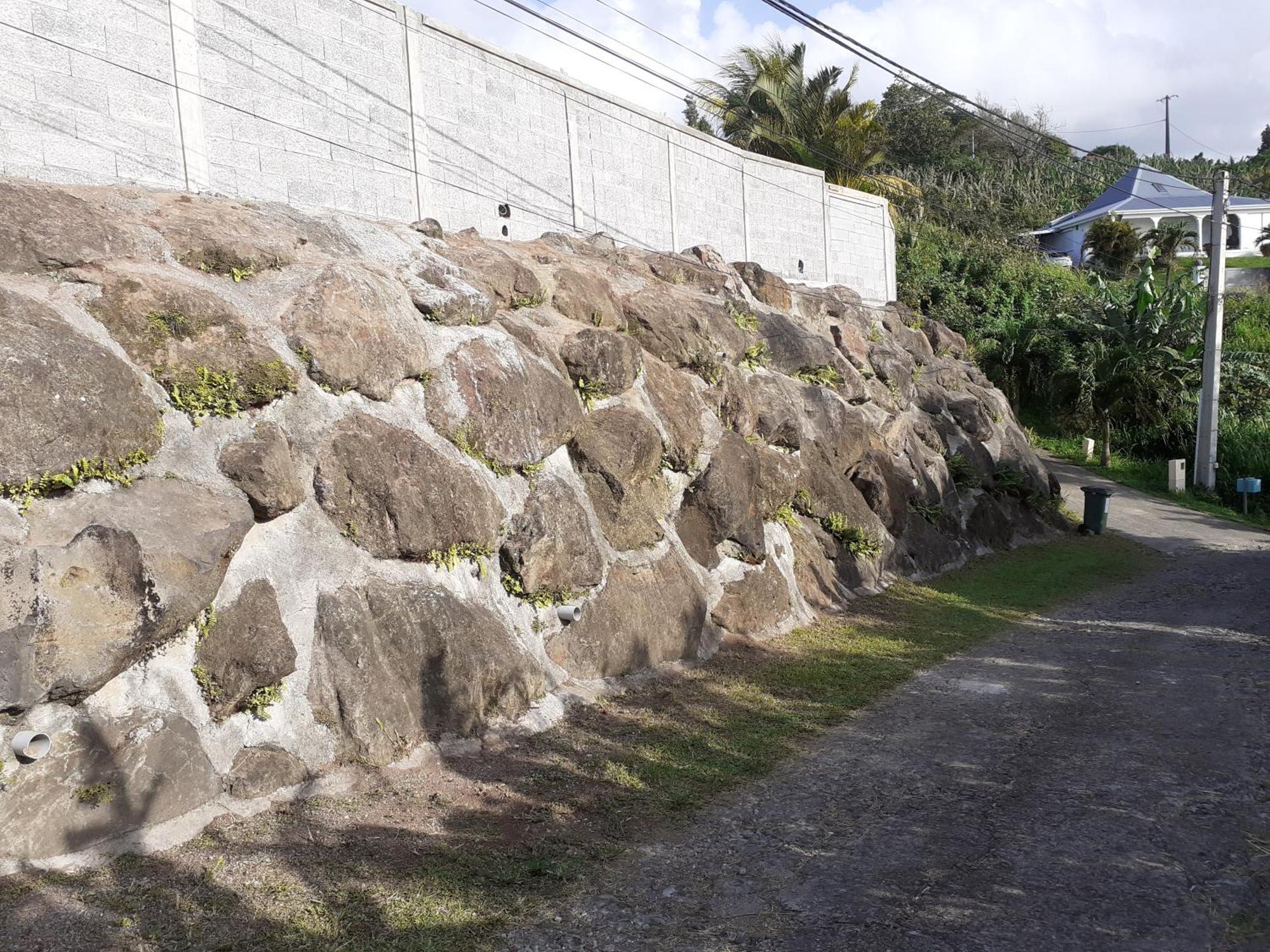 Awmony'Kaz, Gite A Trois-Rivieres Guadeloupe ภายนอก รูปภาพ