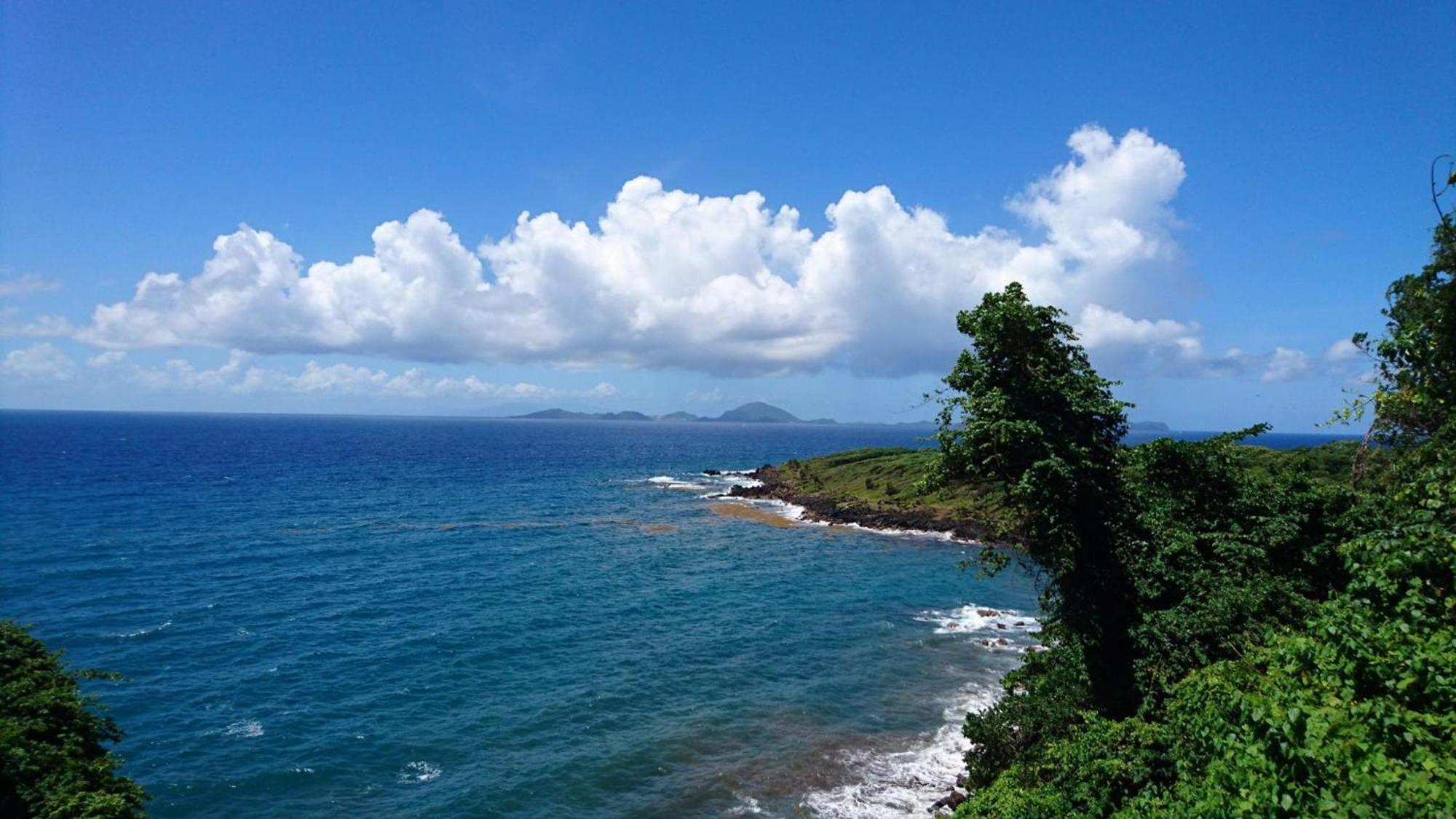 Awmony'Kaz, Gite A Trois-Rivieres Guadeloupe ภายนอก รูปภาพ