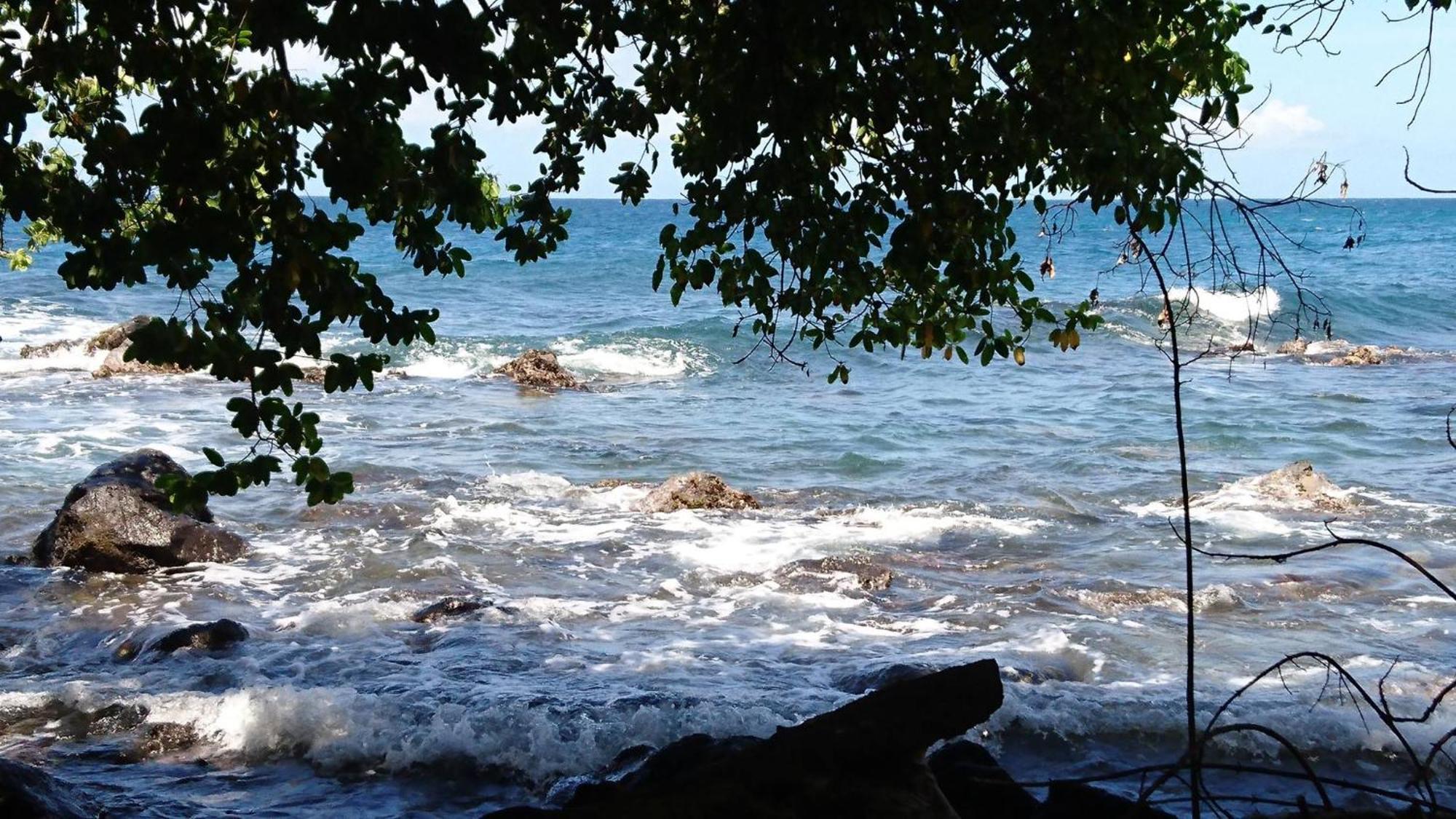 Awmony'Kaz, Gite A Trois-Rivieres Guadeloupe ภายนอก รูปภาพ