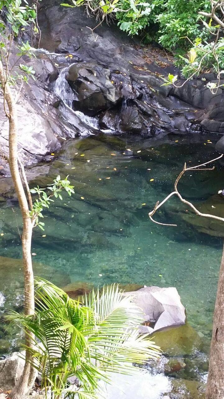 Awmony'Kaz, Gite A Trois-Rivieres Guadeloupe ภายนอก รูปภาพ